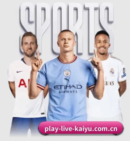 五大服务分区,信息按项目分类 | kaiyun